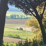 Photo taken by larry s