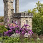 Photo taken by Stella S