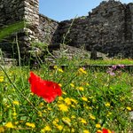 Photo taken by JoAnne C