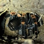 Photo taken by Marc A