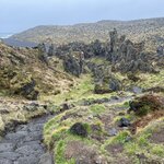 Photo taken by Tom B