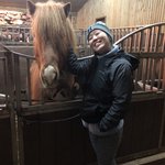 We got to feed the Icelandic horses! | Photo taken by John P