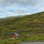 Photo taken by Prem P