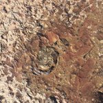 Photo taken by Hilda S