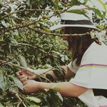 Photo taken by Erika P