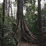 Photo taken by Ayca A