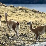 Photo taken by Terry M