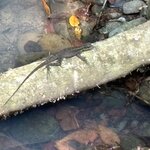 Photo taken by Harshida P