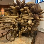 Photo taken by Jacqui O