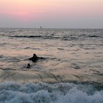 Photo taken by Alfred T