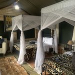 Photo taken by Kristin M