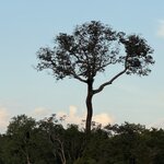 Photo taken by Sathees R