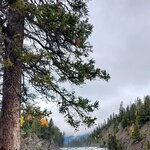 Photo taken by Virginia C