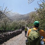 Photo taken by Beth M