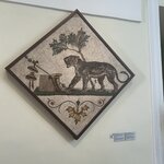 Photo taken by Stephanie K