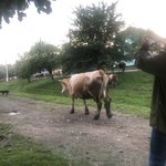 Photo taken by Rob S