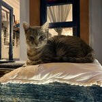 Photo taken by Michael E