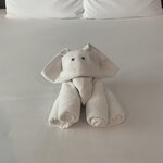 Photo taken by Petralina L