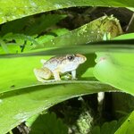 Photo taken by Morton A