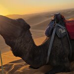 Photo taken by Shelley H