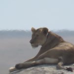 Photo taken by Kristin M