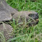 Photo taken by Natascia V