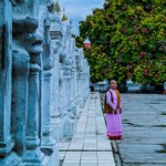 Photo taken by Terrence Y