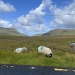 Photo taken by Kathy O