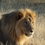 Photo taken by Sandro P