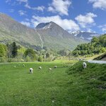 Photo taken by Brian C