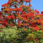 Photo taken by Gary W