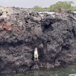 Photo taken by Gary W