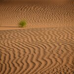 Photo taken by Indra S