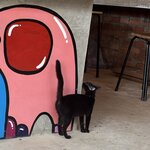 Photo taken by Fuad A