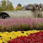 Photo taken by Annie A