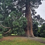 Photo taken by Ruth R