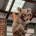 Photo taken by Kaitlin J