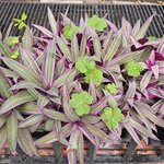 Photo taken by Mariah M