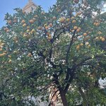 Photo taken by Ingenie D