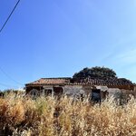 Photo taken by Michelle L