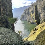 Photo taken by Lisa H