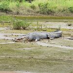 Photo taken by Jolene M