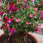 Photo taken by Shanthi V