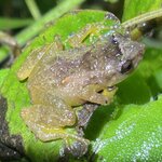 Photo taken by Robin W