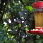 Photo taken by Mary D