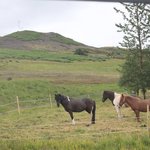 Around the Golden Circle | Photo taken by Heather S