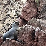 Photo taken by Katie H