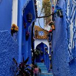 Photo taken by Bianca C