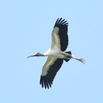 Photo taken by Graeme W