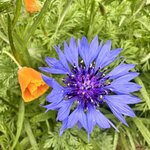 Photo taken by Jody T